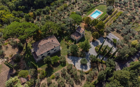 Villa San Pietro: Comunita 'Impianto, Pianta, Lotto, Costruzione, Albero, Urban Design, Paesaggio Naturale, Quartiere, Zona Residenziale, Area Rurale