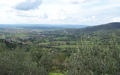 Panoramic view