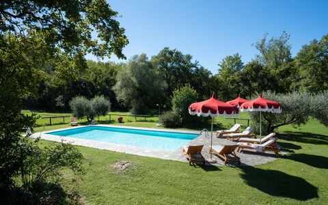 Villa Marina: Pianta, Acqua, Cielo, Piscina, Shade, Ombrello, Albero, Costruzione, Mobili Da Esterno, Sedia