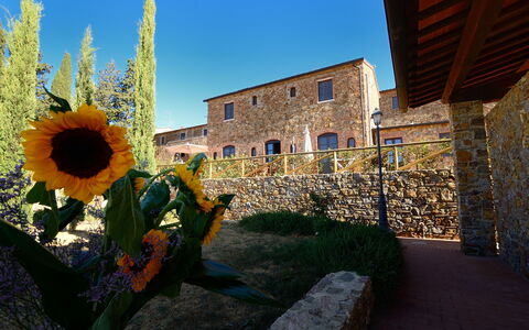 Borgo Casa Di Lappi: Girasole, Fiore, Blu, Girasole, Giallo, Cielo, Pianta, Architettura, Costruzione, Paesaggio