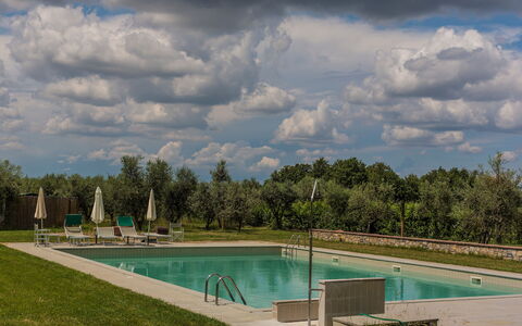 Agriturismo la Papessa: Acqua, Nube, Cielo, Pianta, Albero, Azzurro, Piscina, Paesaggio Naturale, Lotto, Shade