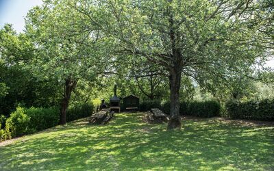 agriturismo-la-papessa-chianti-san-donato-multiproprietà-alberi