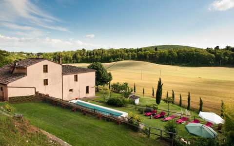 Villa Le Caggia: Proprietà, Casa, Paesaggio Naturale, Casa, Villetta, Cielo, Area Rurale, Agriturismo, Estate, Azienda Agricola