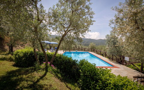 Villa Le Capanne: Proprietà, Piscina, Immobiliare, Casa, Albero, Architettura, Estate, Zona Residenziale, Casa, Costruzione