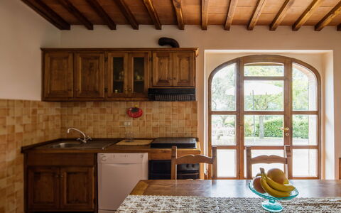 Alloggio:&nbsp;Noceto