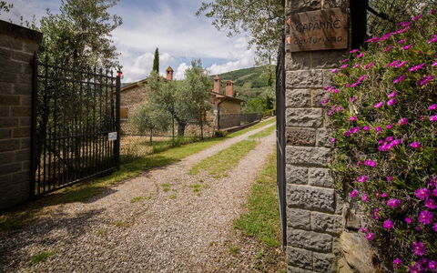Villa Le Capanne: Vegetazione, Fiore, Primavera, Parete, Albero, Erba, Pianta, Arbusto, Casa, Botanica