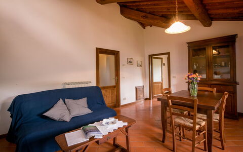 Alloggio:&nbsp;Oliveto