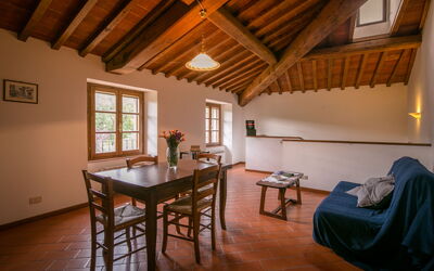 Alloggio:&nbsp;Oliveto