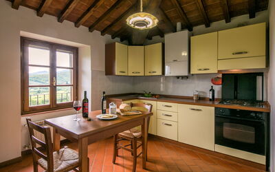 Alloggio:&nbsp;Oliveto