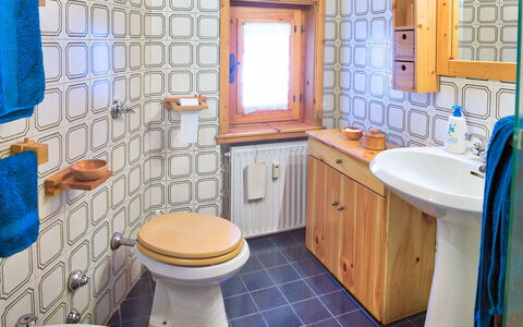The Twins Apartment - Champoluc: Bagno, Proprietà, Camera, Blu, Interior Design, Piastrella, Casa, Toilet Seat, Immobiliare, Pavimento