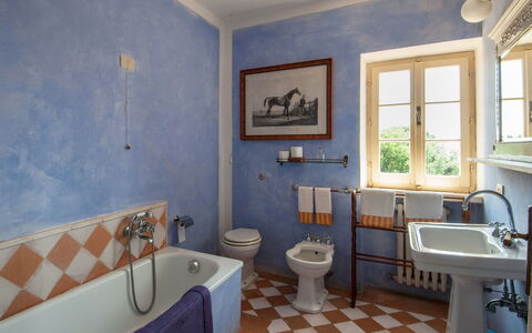Fontanelle 16: Bagno, Camera, Proprietà, Blu, Interior Design, Pavimento, Parete, Costruzione, Immobiliare, Piastrella