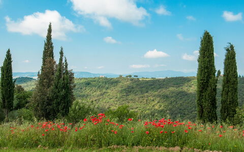 Fontanelle 16: Paesaggio Naturale, Prato, Natura, Ambiente Naturale, Vegetazione, Pascolo, Cielo, Natura Selvaggia, Riserva Naturale, Biome