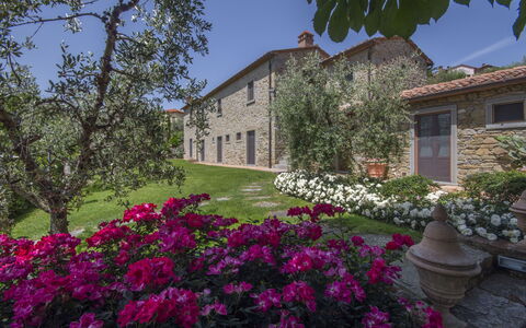 Villa Il Sasso: Proprietà, Casa, Casa, Fiore, Immobiliare, Costruzione, Pianta, Primavera, Botanica, Giardino