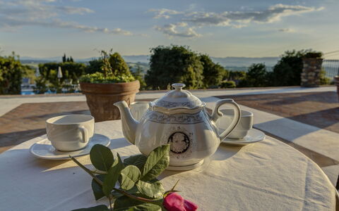 Villa Di Cinzia: Teiera, Tavola, Albero, Vacanza, Camera, Tavolo, Casa, Pianta, Fotografia, Bicchieri