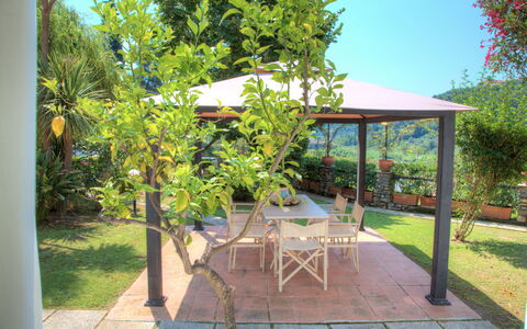 Casa Del Sole - San Bartolomeo Al Mare: Proprietà, Immobiliare, Albero, Backyard, Casa, Cortile, Terrazza, Costruzione, Giardino, Pianta