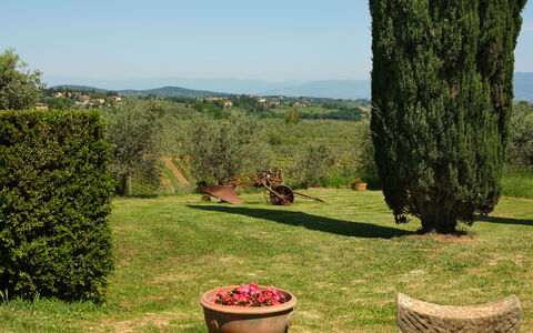 Pozzo Dei Desideri: Pianta, Cielo, Fiore, Comunita 'Impianto, Vaso Di Fiori, Verde, Natura, Botanica, Paesaggio Naturale, Albero