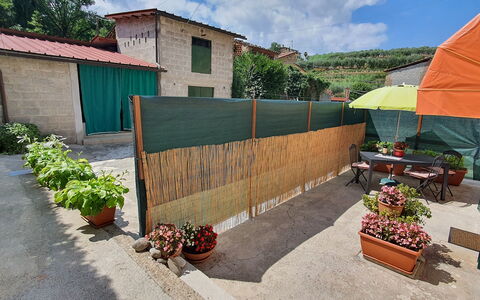 La Piccola Margherita: Proprietà, Casa, Parete, Immobiliare, Casa, Backyard, Costruzione, Lotto, Paesaggio, Cortile