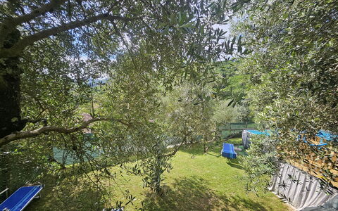 Alla Piazzetta Proprietà: Blu, Giardino, Shade, Backyard