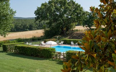 La Piccola Selva: Proprietà, Piscina, Ricorrere, Albero, Casa, Immobiliare, Villa, Costruzione, Vacanza, Tempo Libero