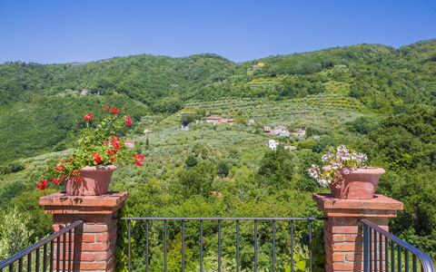 Villa Roncovisi: Vegetazione, Proprietà, Albero, Riserva Naturale, Foglia, Botanica, Giardino, Collina, Immobiliare, Casa