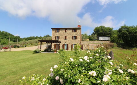 Poggio del Fabbro: Fiore, Pianta, Nube, Costruzione, Cielo, Albero, Paesaggio Naturale, Finestra, Lotto, Casa
