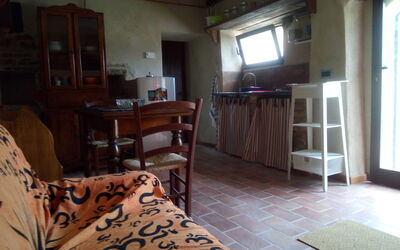 Cotoneaster: Camera, Proprietà, Pavimento, Mobilia, Costruzione, Interior Design, Casa, Latifoglie, Casa, Immobiliare