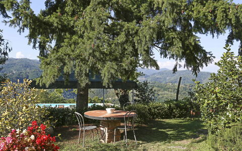 La Castagnara: Proprietà, Albero, Immobiliare, Casa, Tavolo, Villetta, Woody Impianto, Pianta, Giardino, Costruzione