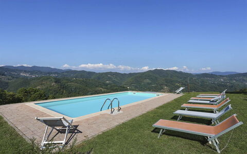 La Castagnara: Proprietà, Piscina, Casa, Mobilia, Lettino, Tavolo, Estate, Immobiliare, Villa, Lotto