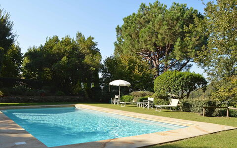 Compignano Barn: Piscina, Proprietà, Casa, Tempo Libero, Immobiliare, Casa, Estate, Costruzione, Albero, Backyard