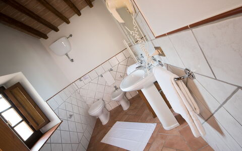 Alloggio:&nbsp;Suite 209