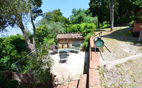 Collina Lagomare: Proprietà, Albero, Casa, Architettura, Costruzione, Paesaggio, Pianta, Turismo, Vacanza, Estate