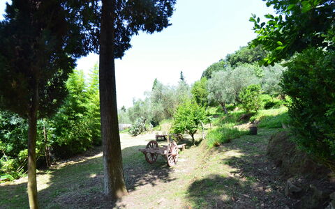 Collina Lagomare: Natura, Vegetazione, Albero, Riserva Naturale, Ambiente Naturale, Biome, Trail, Erba, Botanica, Giardino