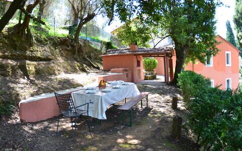 Collina Lagomare: Proprietà, Backyard, Casa, Villetta, Costruzione, Cortile, Immobiliare, Camera, Albero, Villa