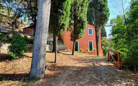 Collina Lagomare: Pianta, Finestra, Costruzione, Albero, Ramo, Legna, Lotto, Luce Del Sole, Casa, Manto Stradale