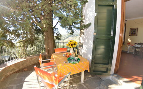 La Cipressa: Proprietà, Camera, Casa, Portico, Immobiliare, Casa, Mobilia, Backyard, Costruzione, Terrazza
