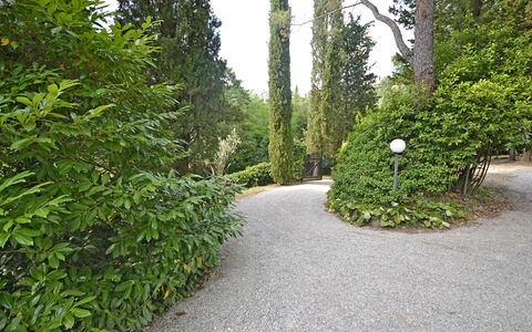 Villa Del Castagno: Vegetazione, Albero, Arbusto, Ambiente Naturale, Foglia, Paesaggio Naturale, Riserva Naturale, Pianta, Biome, Passerella