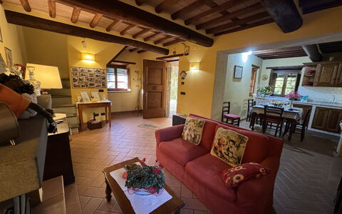 Batticapo di Ilaria: Proprietà, Divano, Tavolo, Mobilia, Interior Design, Illuminazione, Soggiorno, Cornice, Divano Letto, Legna