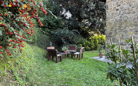 Batticapo di Ilaria: Pianta, Comunita 'Impianto, Foglia, Fiore, Paesaggio Naturale, Erba, Albero, Biome, Arbusto, Groundcover