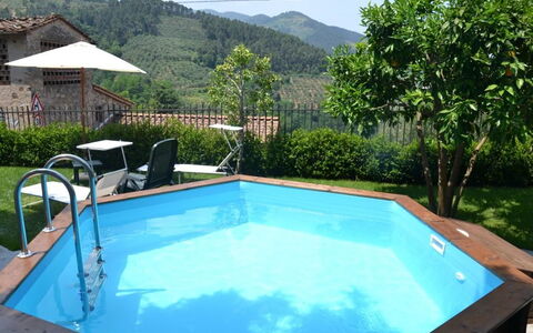 Casa Max: Piscina, Proprietà, Tempo Libero, Ricorrere, Casa, Eco Hotel, Immobiliare, Backyard, Erba, Albero