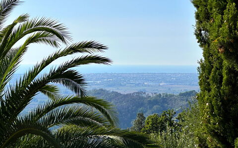 Borgo Bucatra Buonvento: Cielo, Paesaggio Naturale, Impianto Terrestre, Vegetazione, Arecales, Albero, Paesaggio, Pianta, Palma, Foresta