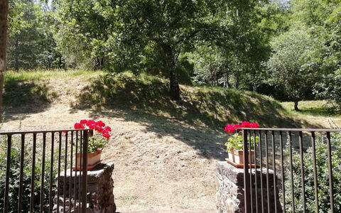 Vignoli: Natura, Vegetazione, Albero, Proprietà, Giardino, Botanica, Riserva Naturale, Primavera, Pianta, Erba