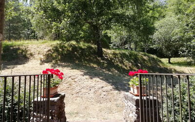 Vignoli