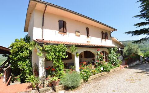 Petra: Proprietà, Casa, Costruzione, Immobiliare, Casa, Villa, Area Rurale, Albero, Facciata, Architettura