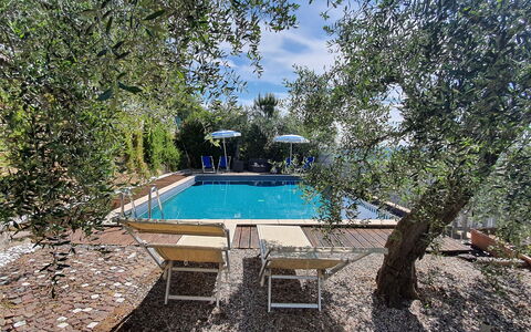 Podere San Martino: Acqua, Piscina, Nube, Cielo, Shade, Albero, Pianta, Paesaggio Naturale, Tempo Libero, Paesaggio