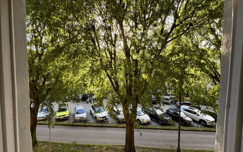 Alle Mura: Veicolo, Auto, Albero, Veicolo A Motore, Ruota, Trasporto, Automotive Esterno