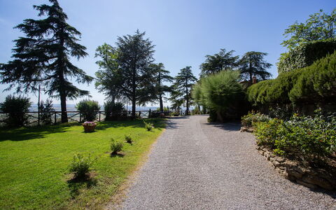 Villa i Cocciai: Albero, Natura, Vegetazione, Ambiente Naturale, Cielo, Erba, Natura Selvaggia, Giardino, Botanica, Strada