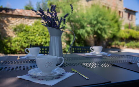 Villa i Cocciai: Tavolo, Tazza, Bicchieri, Albero, Tavola, Tazza Di Caffè, Pianta, Serveware, Tovaglia, Teacup