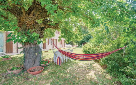 Ca Maggetti: Natura, Albero, Verde, Vegetazione, Paesaggio Naturale, Botanica, Foglia, Woody Impianto, Pianta