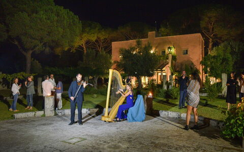 Masseria Lentisco: Fotografia, Notte, Giallo, Illuminazione, Evento, Albero, Cerimonia, Tempo Libero