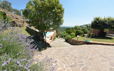 Agli Olivi: Proprietà, Giardino, Albero, Botanica, Immobiliare, Paesaggio, Passerella, Landscaping, Pianta, Casa